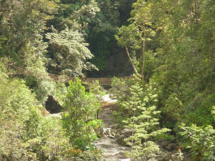 Rattan Bridge